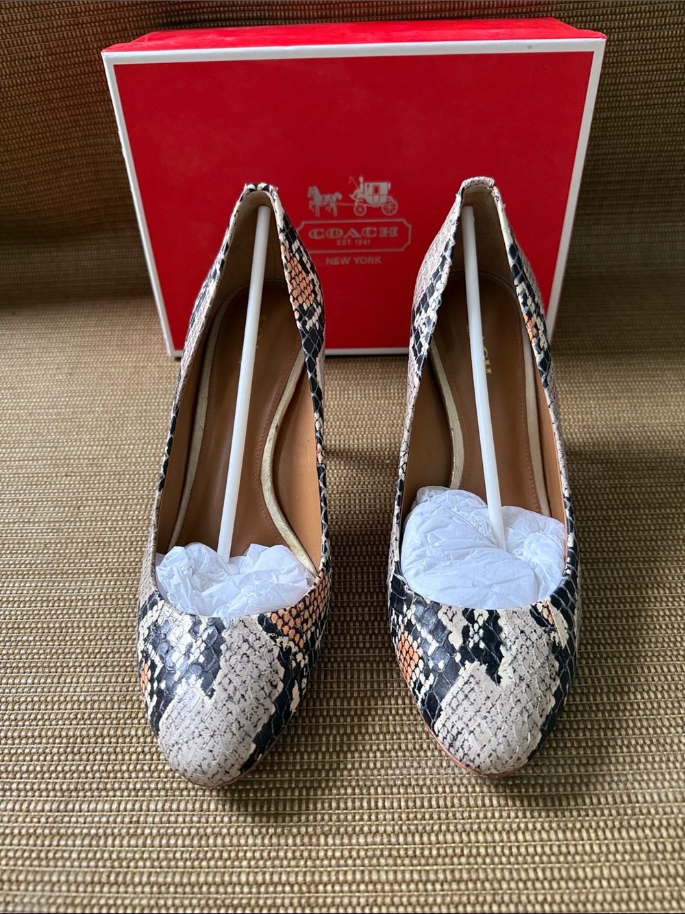 Coach Women's Snakeskin Pointed-Toe Pumps - Black, Cream & Tan